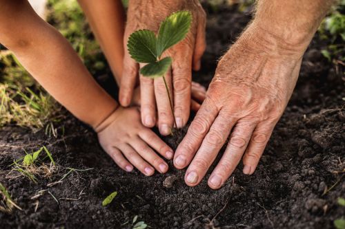 When you plan ahead, you can use your assets to produce both income and a legacy for your loved ones.