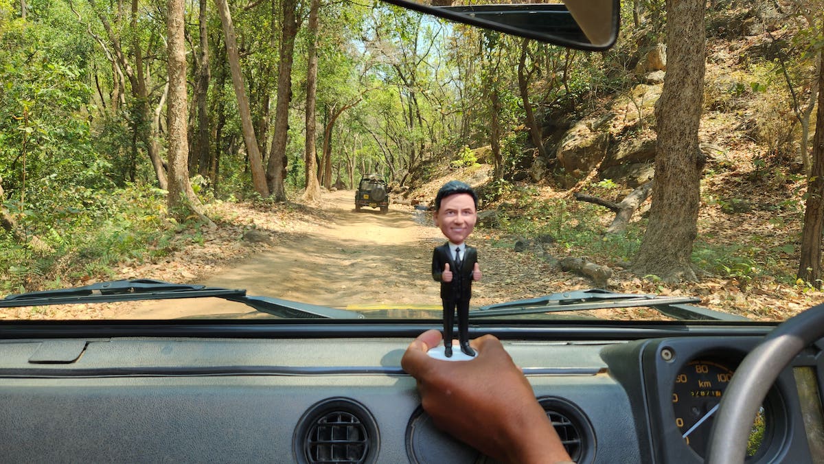 Little Jimmy exploring Bandavgarh National Park in India!